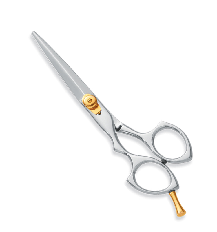 Professional Hair Cutting Scissors