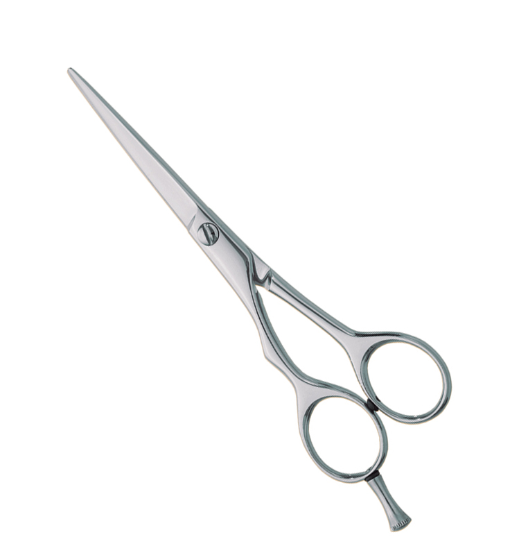 Professional Hair Cutting Scissors