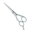 Professional Hair Cutting Scissors