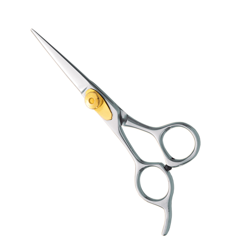 Professional Hair Cutting Scissors