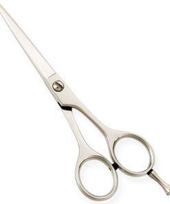 Standard Hair Dressing Scissors